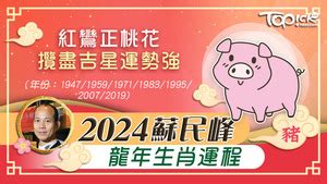 蘇民峰九運風水佈局2024|2024年龍年布局｜蘇民峰教家居風水布局 趨旺財運桃 